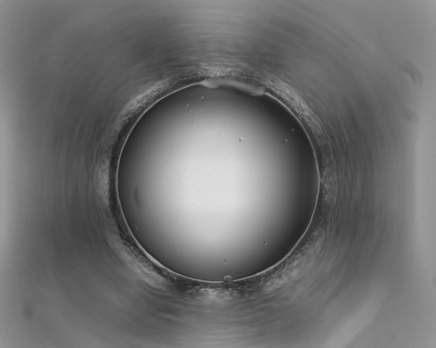 X0000112410442200908141404