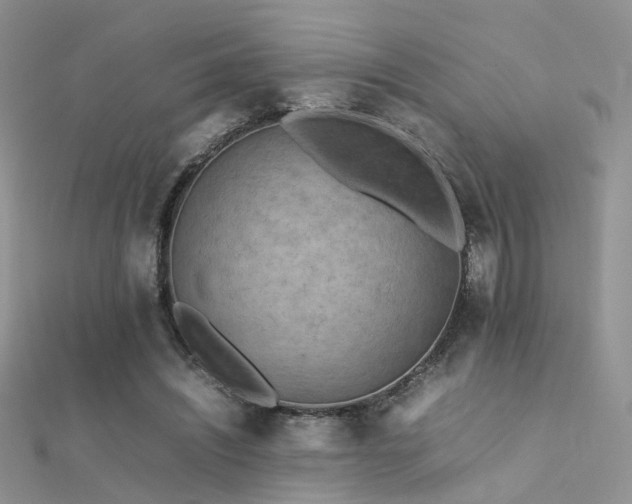 X0000112410444200908141404