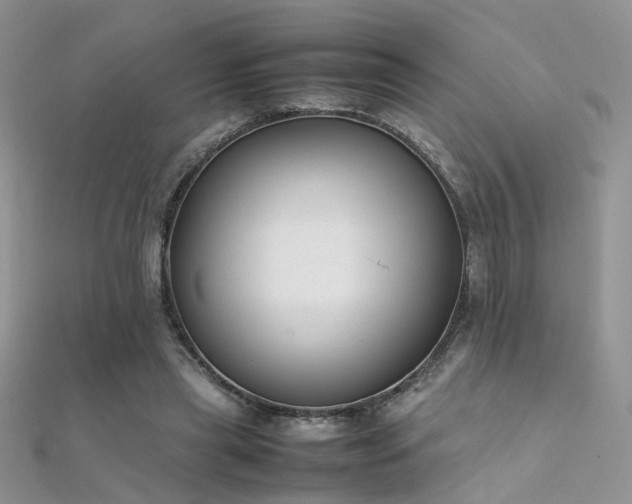 X0000112410445200908141404