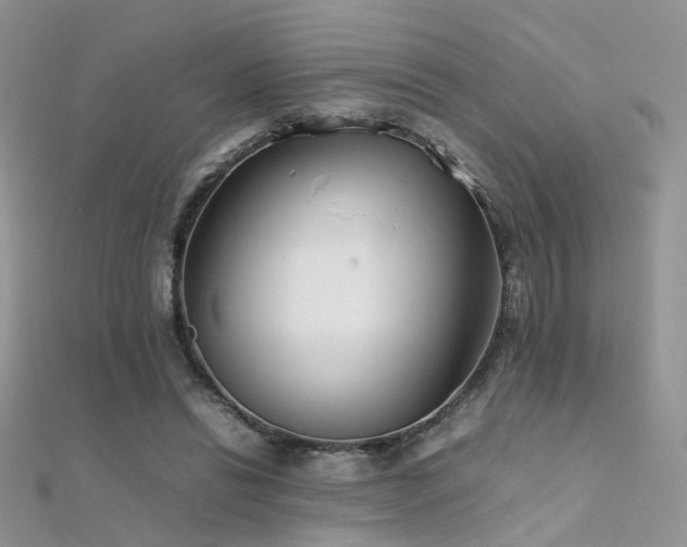 X0000112410446200908141404