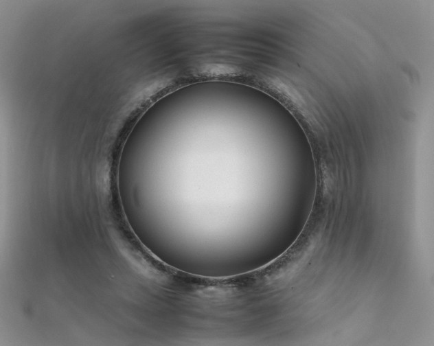 X0000112410447200908141404