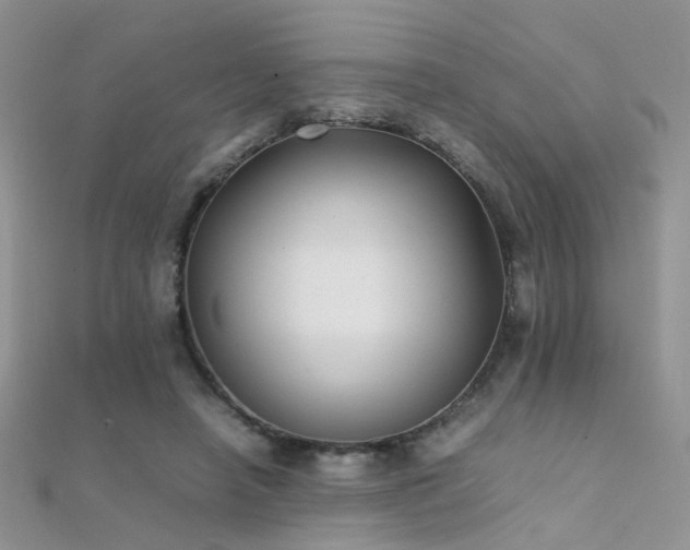 X0000112410450200908141404