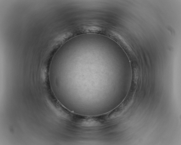 X0000112410451200908141404