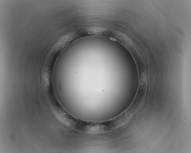 X0000112410452200908141404