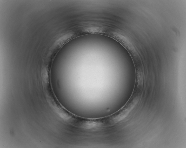 X0000112410453200908141404