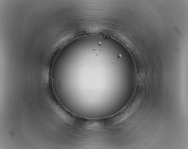 X0000112410454200908141404