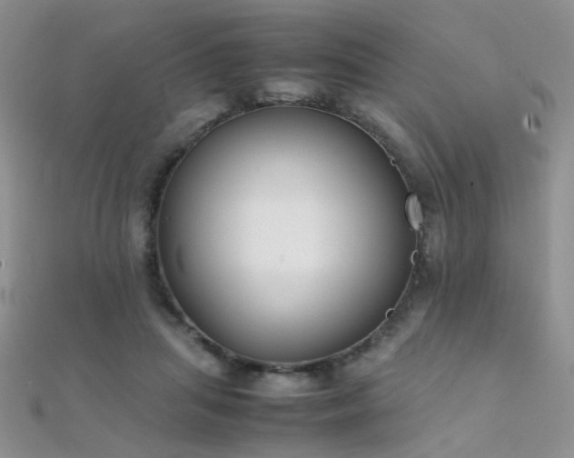 X0000112410455200908141404