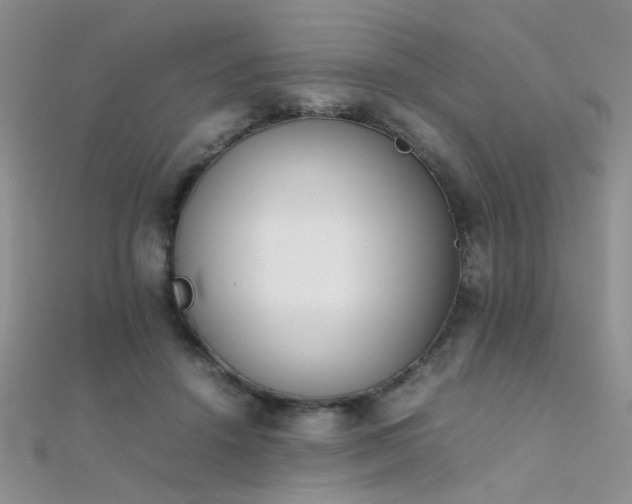 X0000112410456200908141404