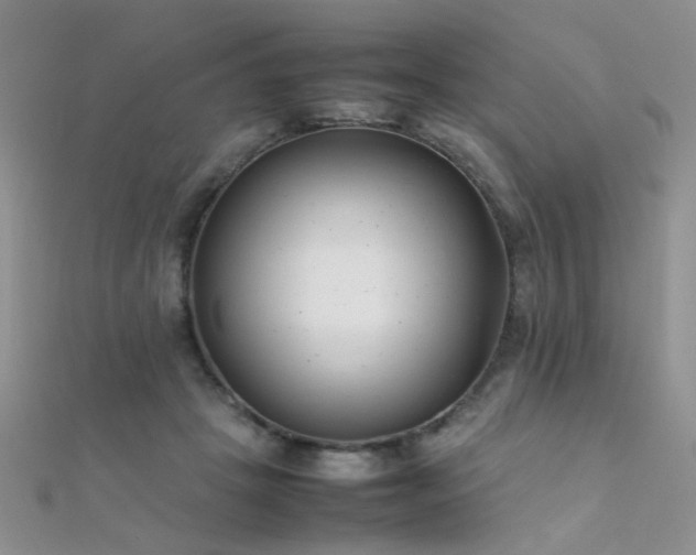 X0000112410457200908141404