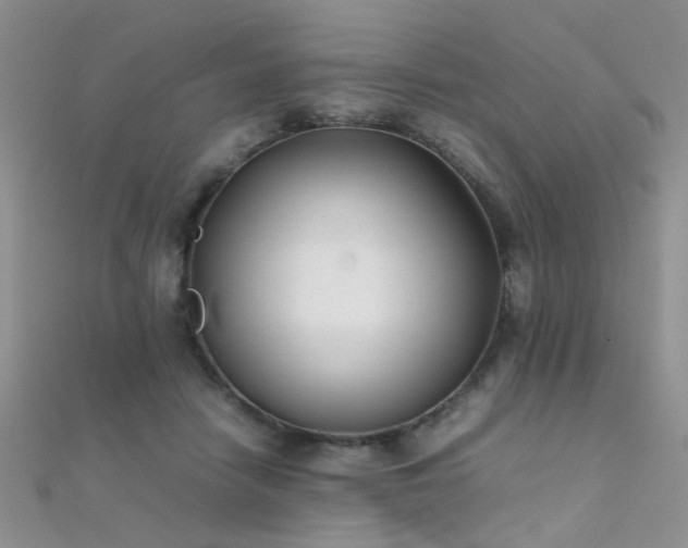 X0000112410458200908141404