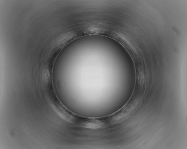 X0000112410459200908141404