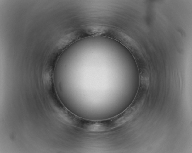 X0000112410460200908141404