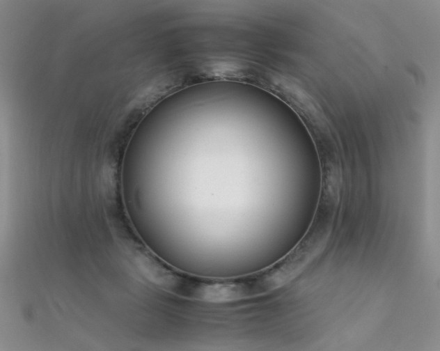 X0000112410461200908141404