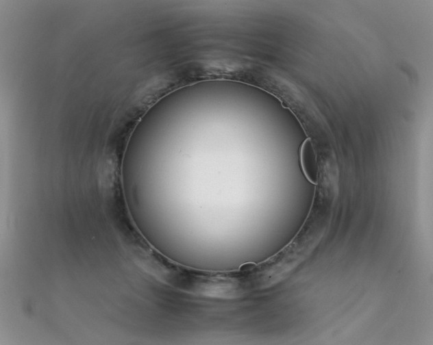 X0000112410463200908141404