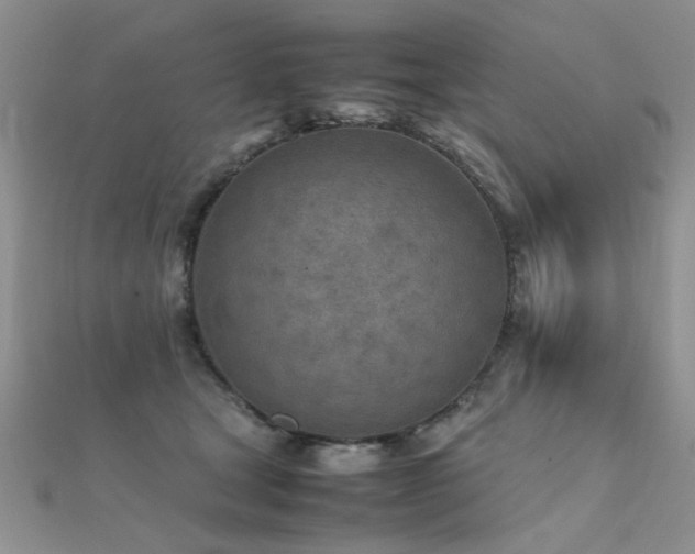 X0000112410465200908141404