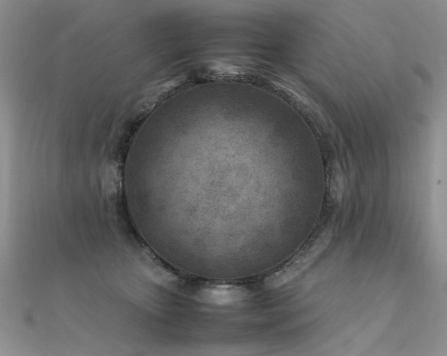 X0000112410467200908141404