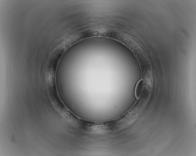 X0000112410468200908141404