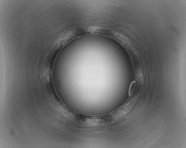X0000112410470200908141404