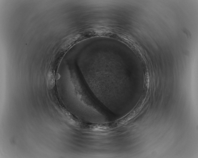X0000112410471200908141404
