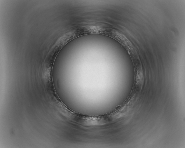 X0000112410473200908141404
