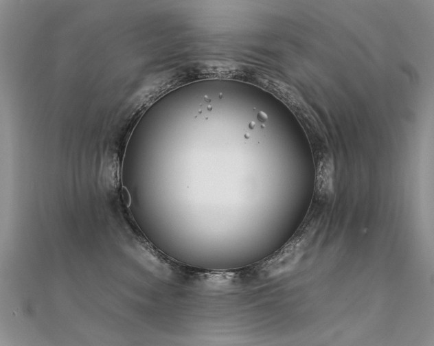 X0000112410474200908141404
