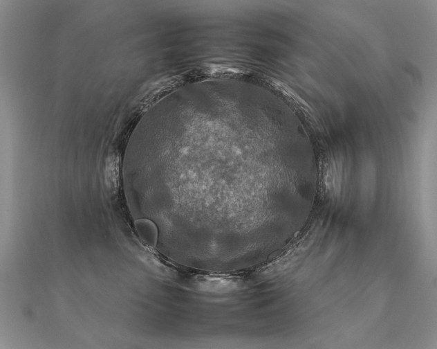 X0000112410475200908141404