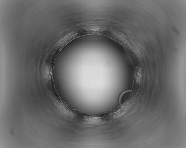 X0000112410476200908141404