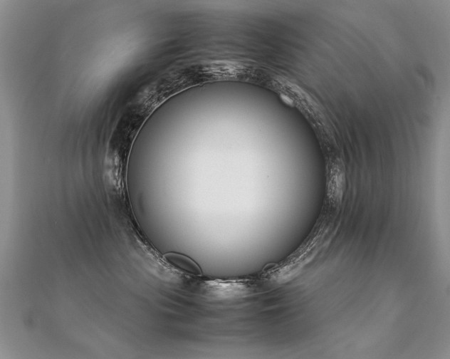X0000112410477200908141405