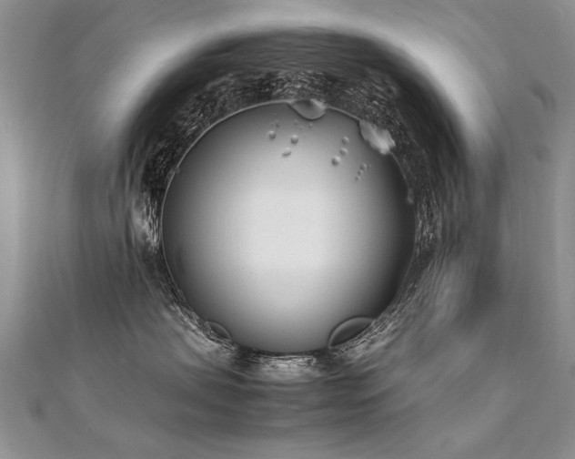 X0000112410479200908141405