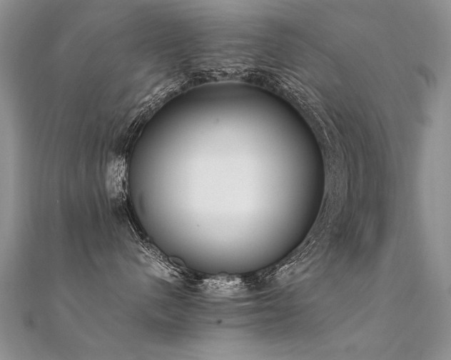 X0000112410480200908141405