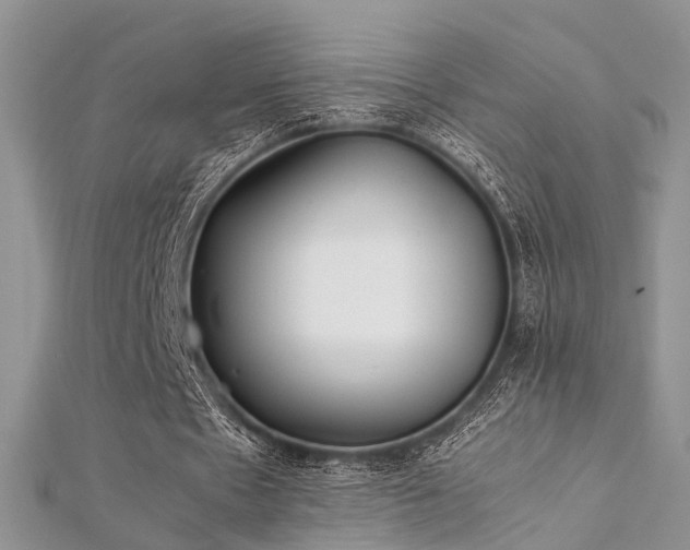 X0000112410481200908141404
