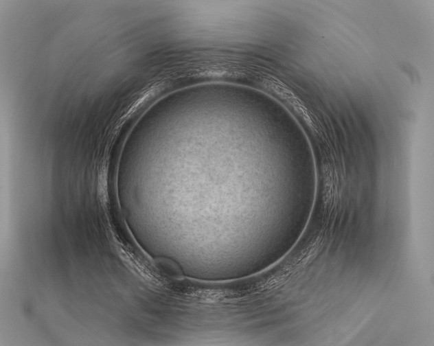 X0000112410482200908141404