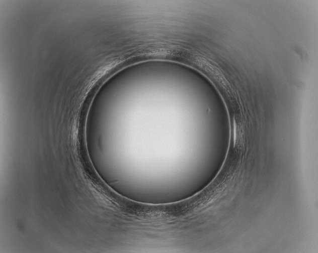 X0000112410483200908141404