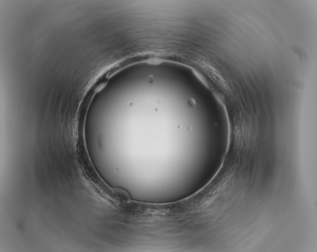 X0000112410484200908141404