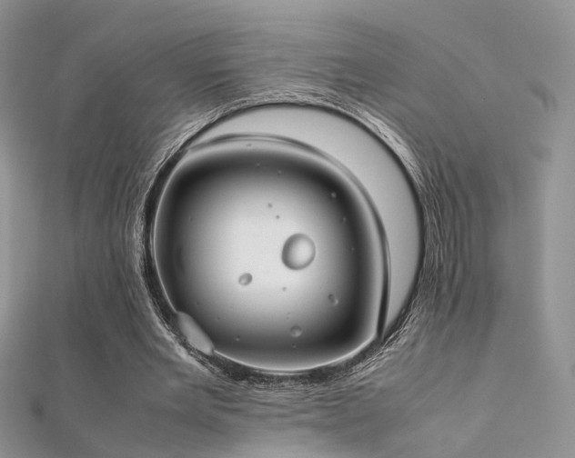 X0000112410485200908141404