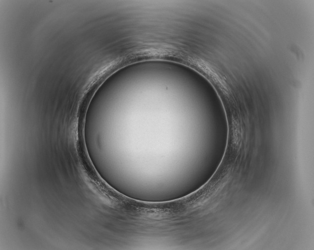 X0000112410486200908141404
