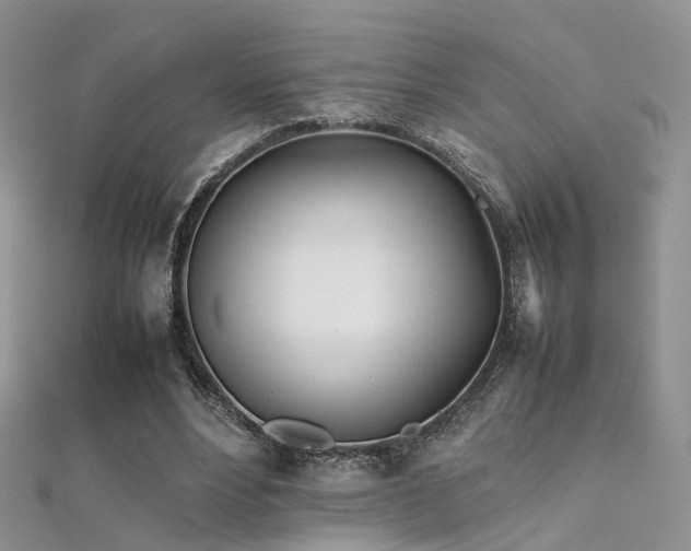 X0000112410488200908141404