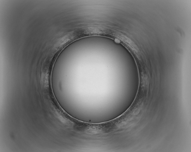 X0000112410489200908141404