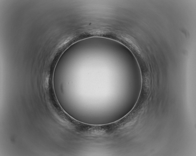 X0000112410491200908141404