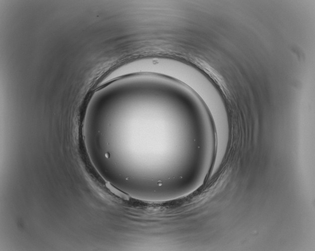 X0000112410493200908141404