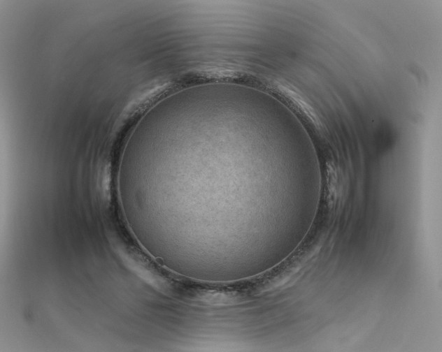 X0000112410494200908141404