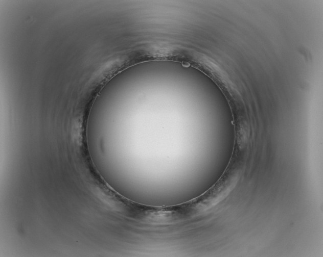 X0000112410497200908141404