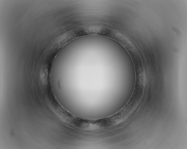 X0000112410498200908141404