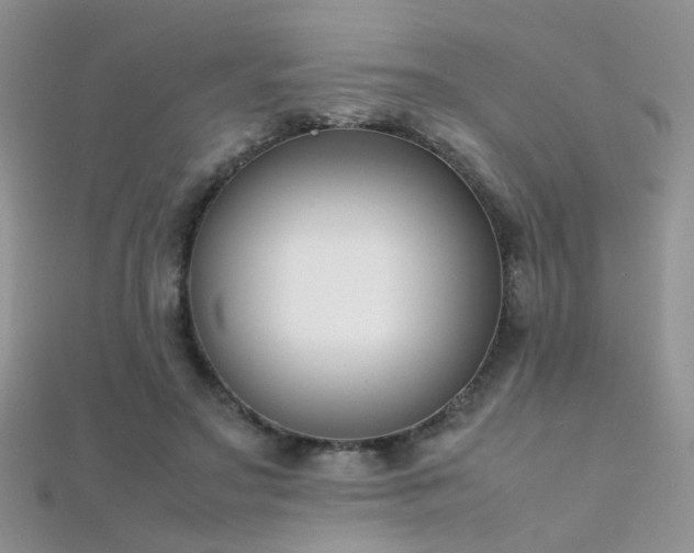X0000112410499200908141404