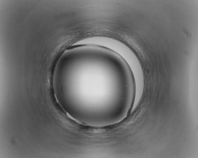 X0000112410501200908141404