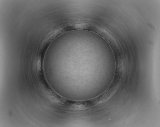 X0000112410502200908141404