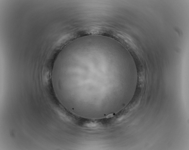 X0000112410503200908141404