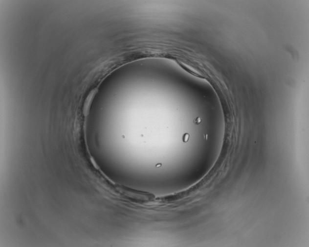 X0000112410505200908141404