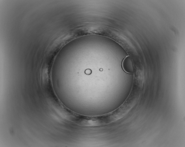 X0000112410506200908141404