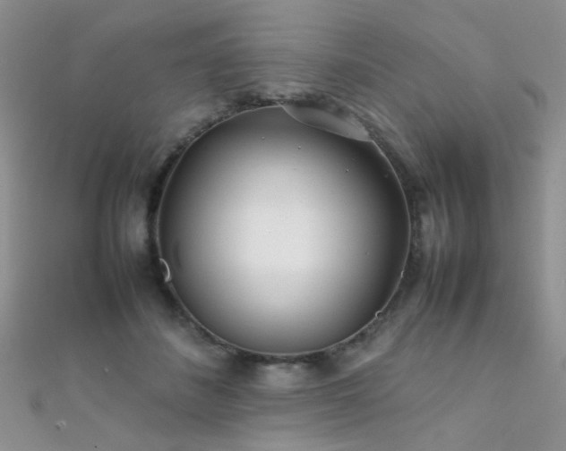 X0000112410508200908141403